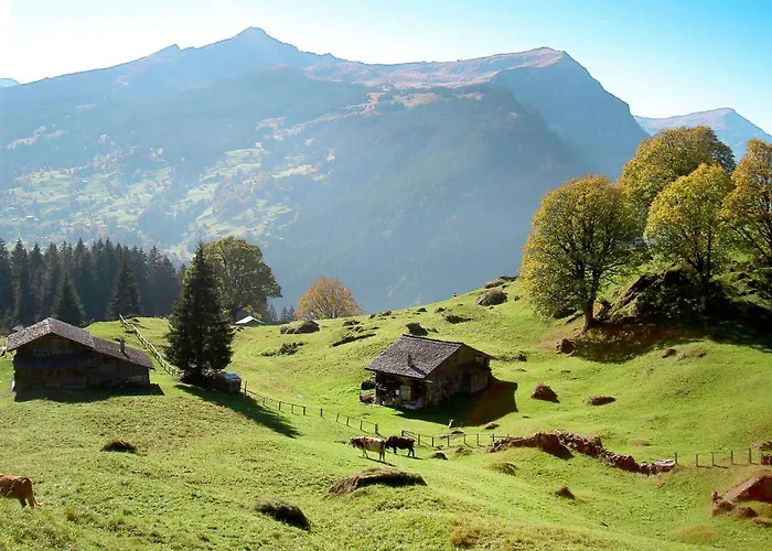 Apartment Apartment Chalet Abendrot Apartments-18 By Interhome Grindelwald